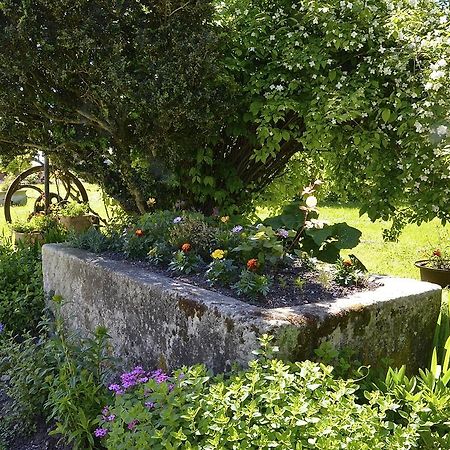 Bed and Breakfast Le Vieux Noyer Saint-Maurice-de-Tavernole Esterno foto